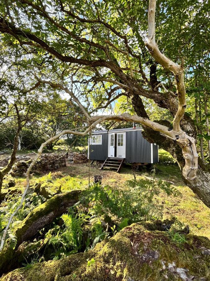 The Hazel Hut Villa Westport Buitenkant foto