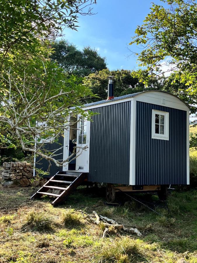 The Hazel Hut Villa Westport Buitenkant foto