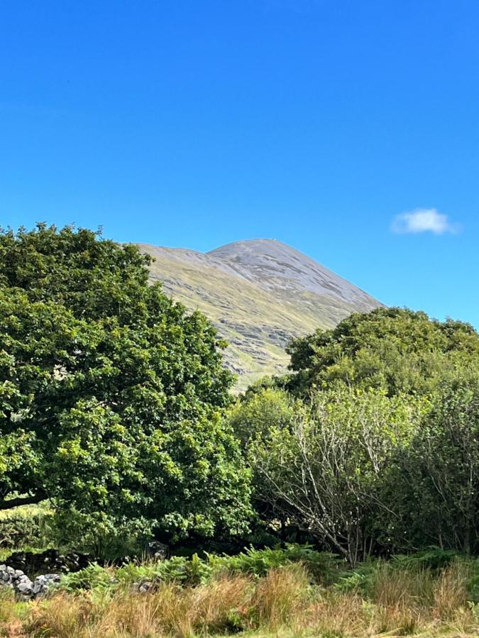 The Hazel Hut Villa Westport Buitenkant foto